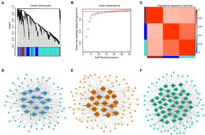 Transcriptome and association mapping revealed functional genes respond to drought stress in Populus